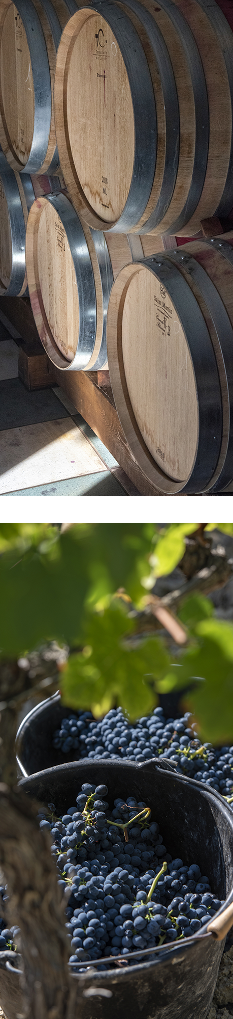 Visuel page Winemaking